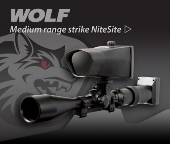 Picture of NITESITE WOLF